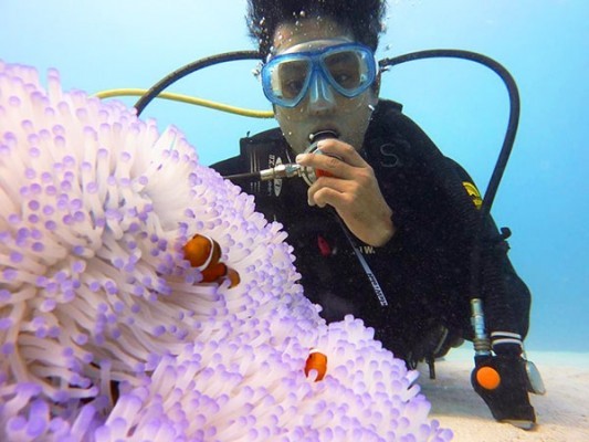 1477650875197699824080