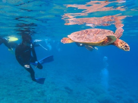 9a70c151-c43e-48bf-b445-f4eb84d3948c_R