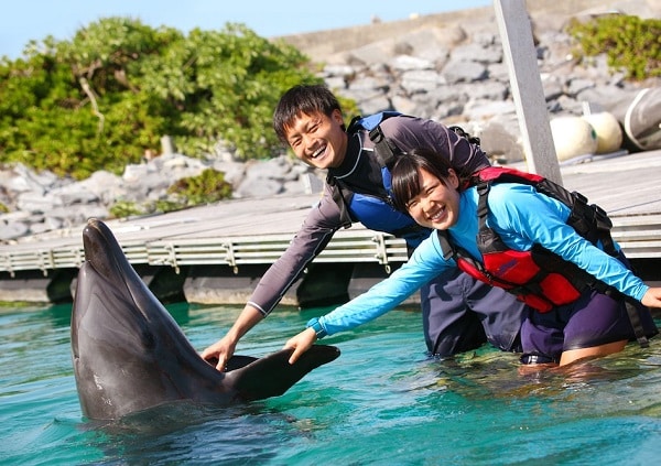 ルネッサンス イルカ