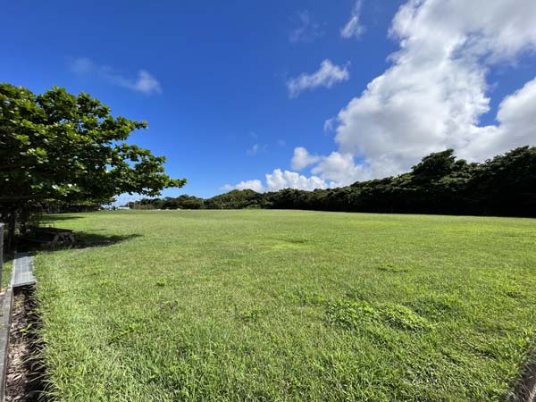 05ロンドンの杜_広場1