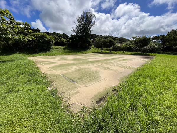 06ロンドンの杜_広場2