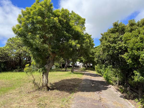 06友寄馬場_遊歩道1