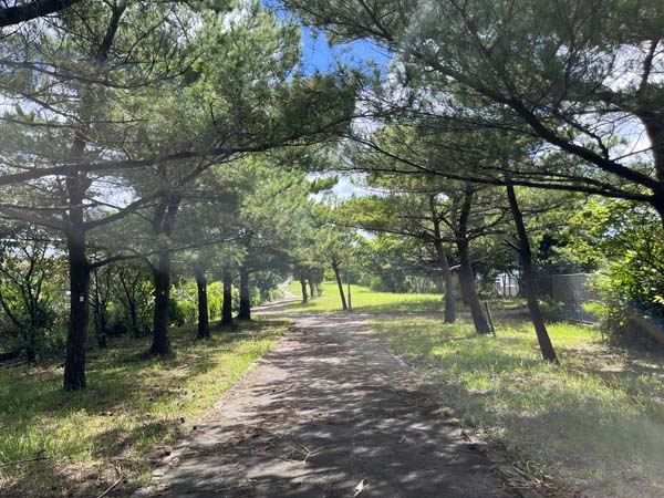 07友寄馬場_遊歩道2