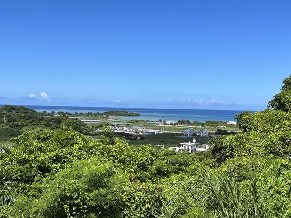 08ロンドンの杜_景色