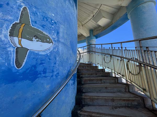 08山巓毛公園_展望台2