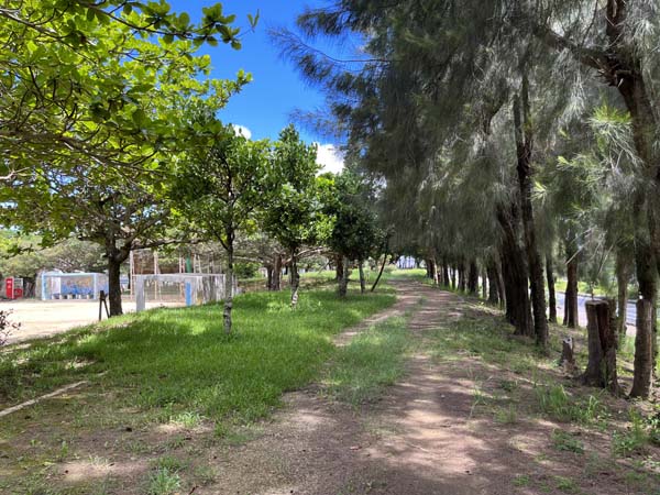 08西崎近隣公園_遊歩道