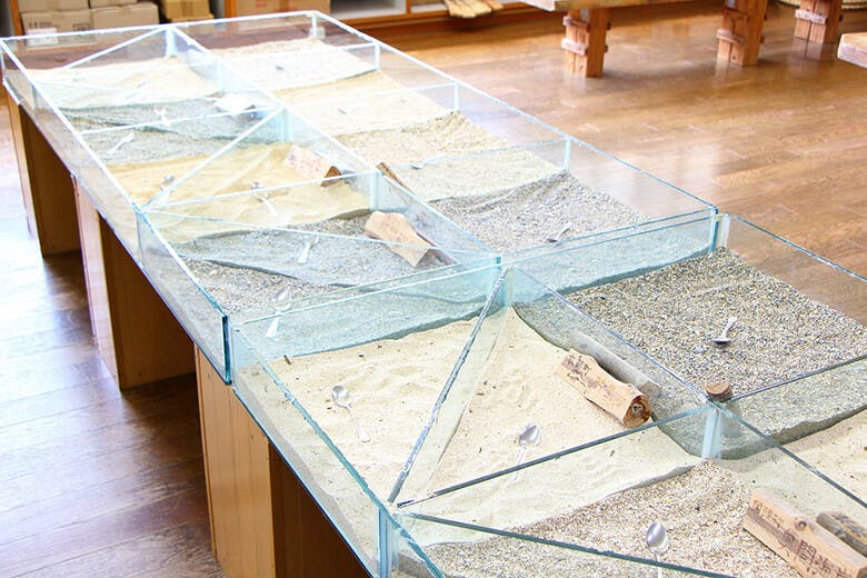 もとぶ元気村|ジェルキャンドルに使われる白砂や貝殻サンゴ