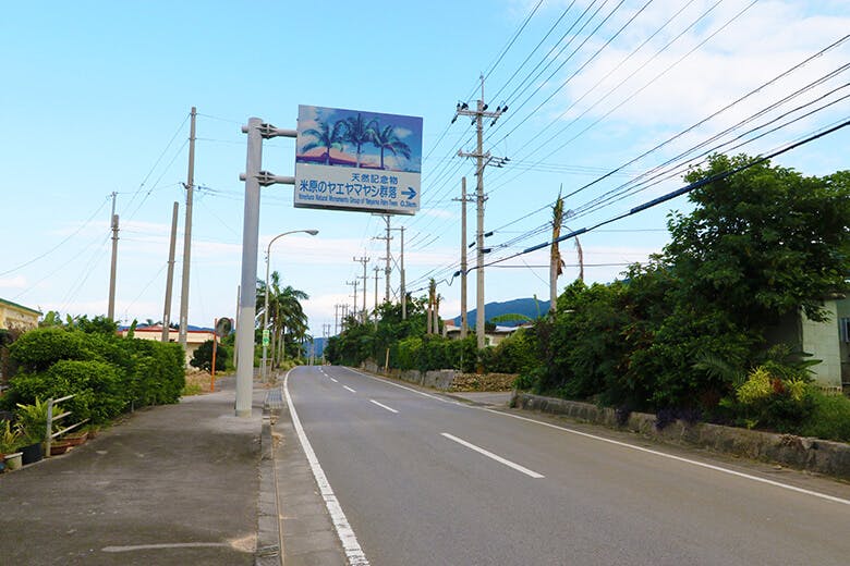 米原（よねはら）のヤエヤマヤシ群落｜県道79号沿いの標識