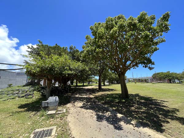 10海のふるさと_遊歩道