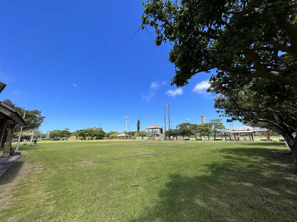 10西崎親水公園_広場