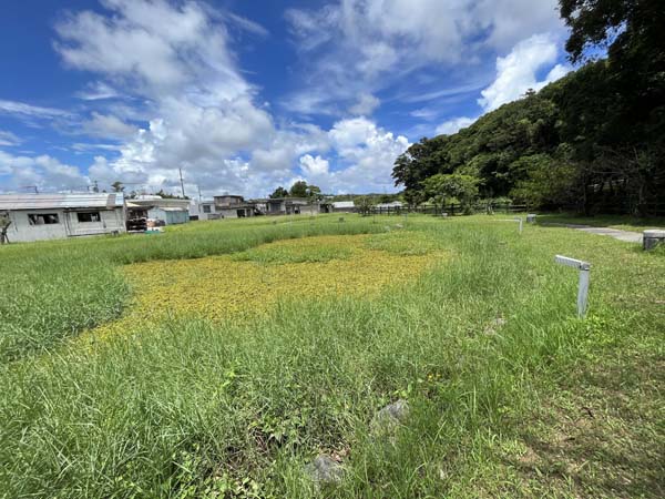 11漢那農村_親水公園