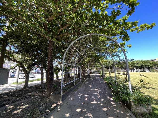 11西崎親水公園_遊歩道