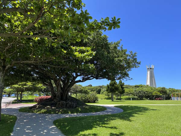 12命の卵_遊歩道