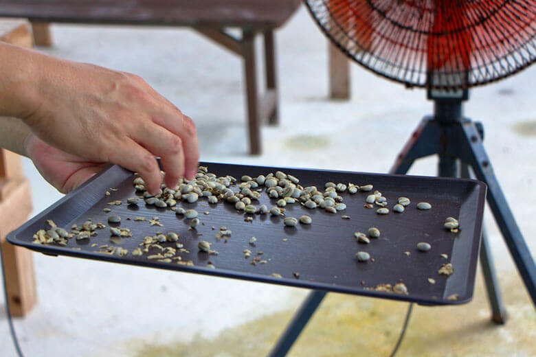 又吉コーヒー園|精米機を使って、種から皮をはがす