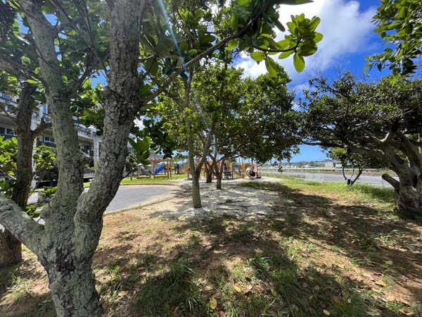 13東風平運動_日陰