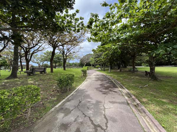 13豊見城総合_遊歩道