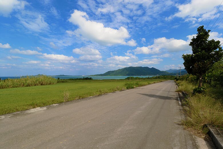 川平湾(かびらわん)|石崎半島方向へのびる道路