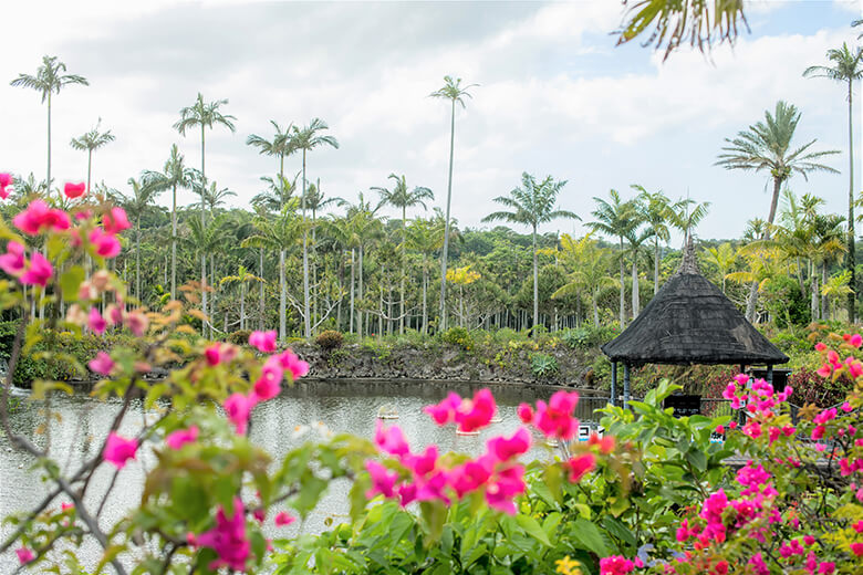 東南植物楽園|水上楽園エリア