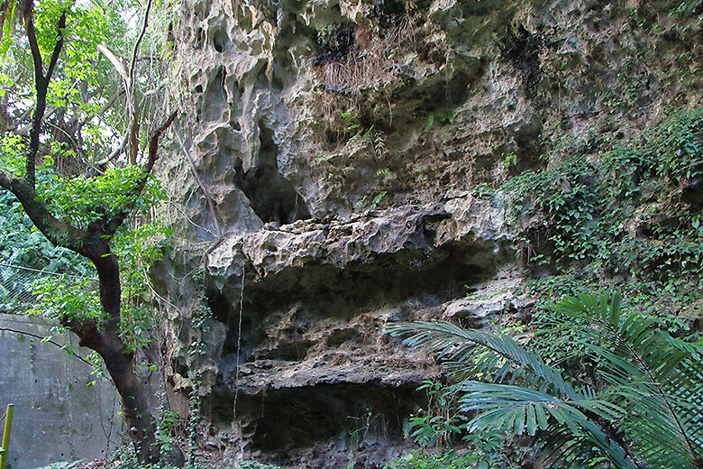 ガンガラーの谷「数千年前の地層」