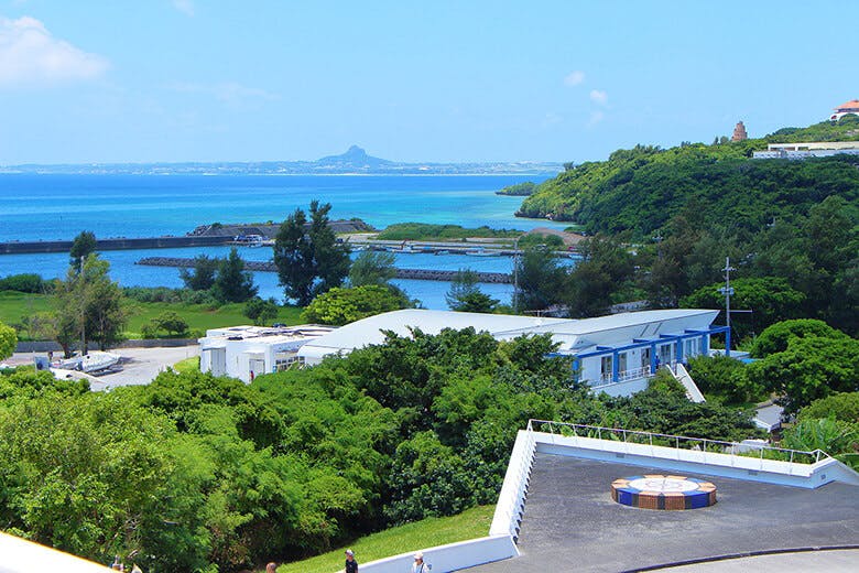 もとぶ元気村|一般財団法人