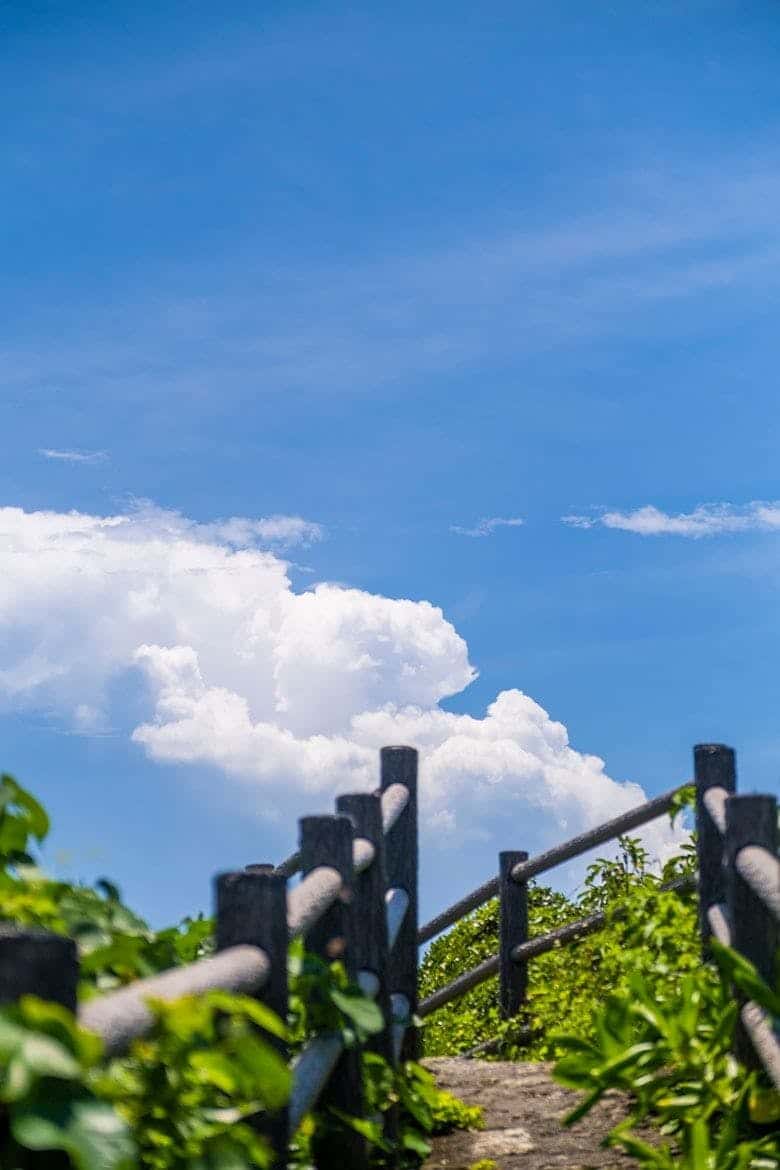 イムギャーマリンガーデン|入道雲とのコントラストが美しい