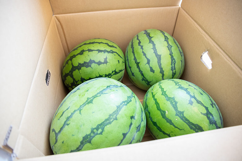 やんばるジェラート