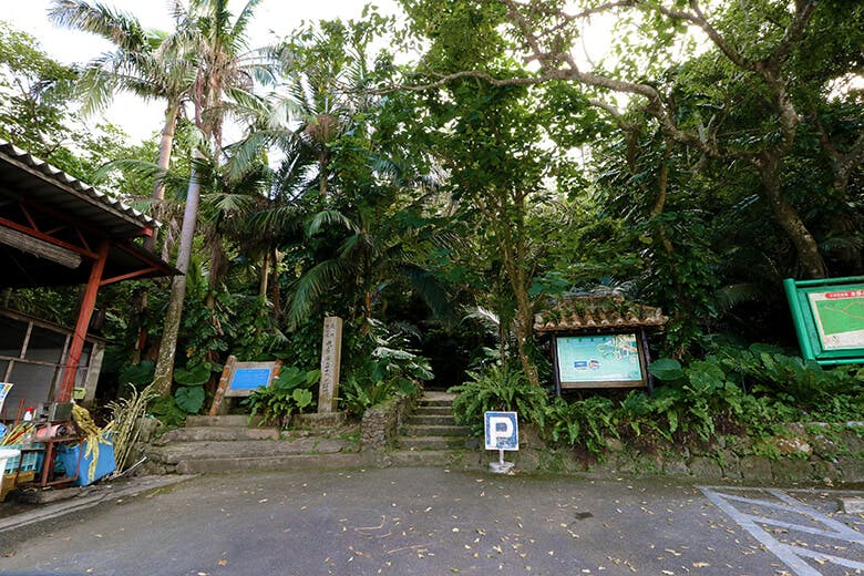 米原（よねはら）のヤエヤマヤシ群落｜散策道入口