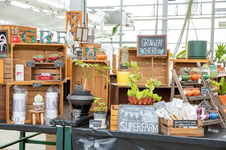 なごアグリパーク｜販売されている、パステルカラーの虫よけキャンドル