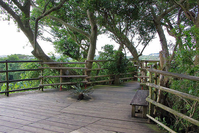 ガンガラーの谷「ツリーテラス」