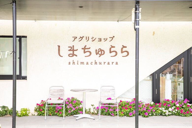 なごアグリパーク｜外壁に描かれた「アグリショップ