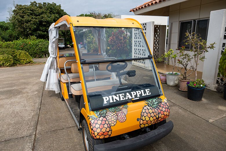 まいぱり｜園内観覧用のカート