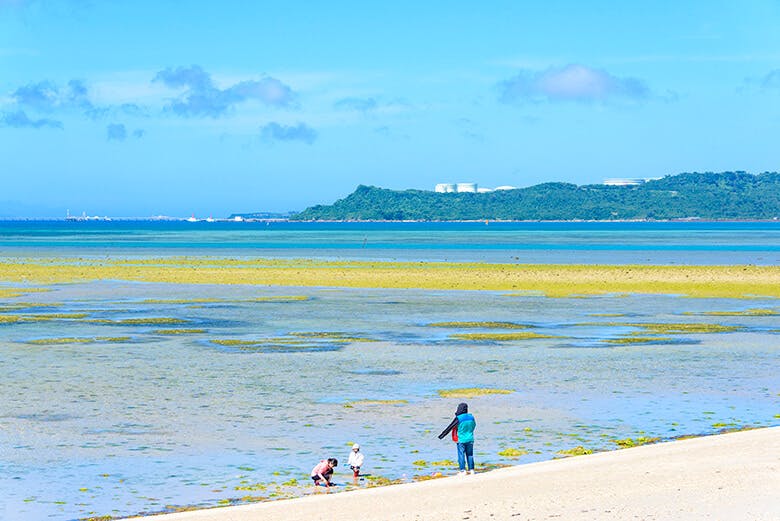 アマミチューの墓とシルミチュー霊場|干潟で遊ぶ親子