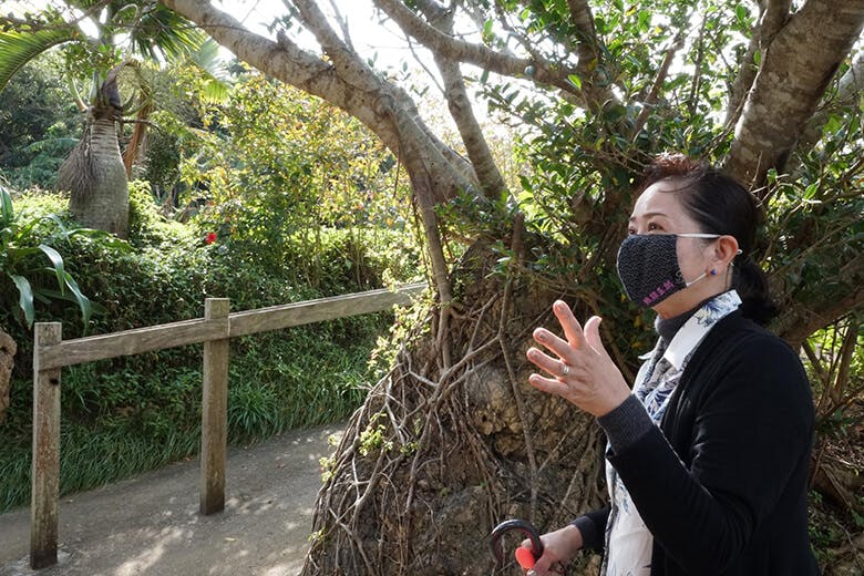多良川(たらがわ)酒造|多良川の歴史や島の自然など、楽しいお話