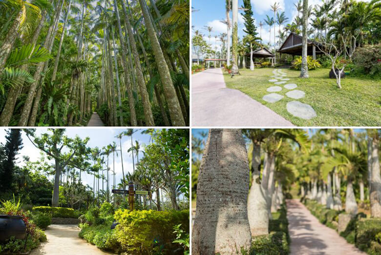 東南植物楽園|植物園エリアの様子