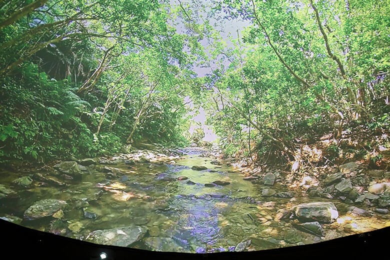 道の駅おおぎみ|やんばるの森と小川が映し出された360°ドームスクリーンの映像