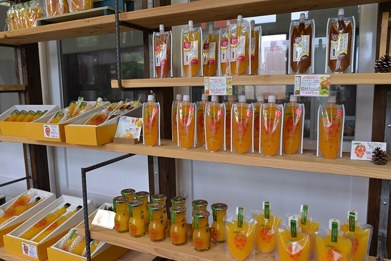 マンゴー専門工房「ティダファクトリ」|一番の人気商品はマンゴージュース