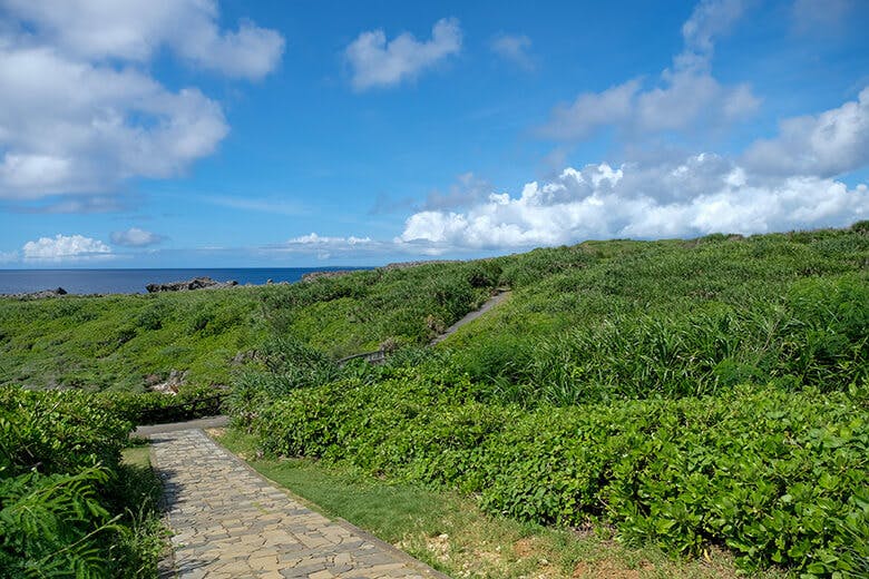 白鳥岬（しらとりみさき）｜岬の遊歩道
