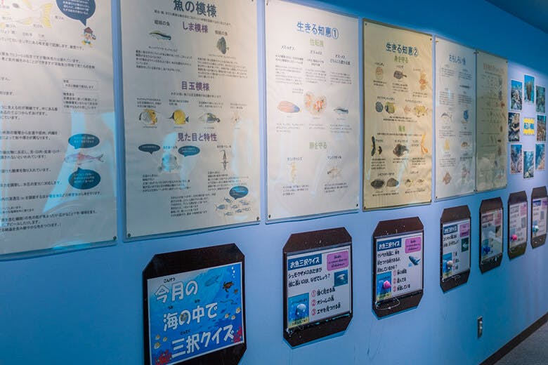 宮古島海中公園｜展示されている資料