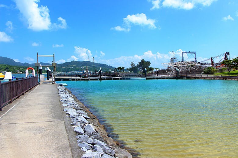 もとぶ元気村|ドルフィンプログラムが行われるエリア