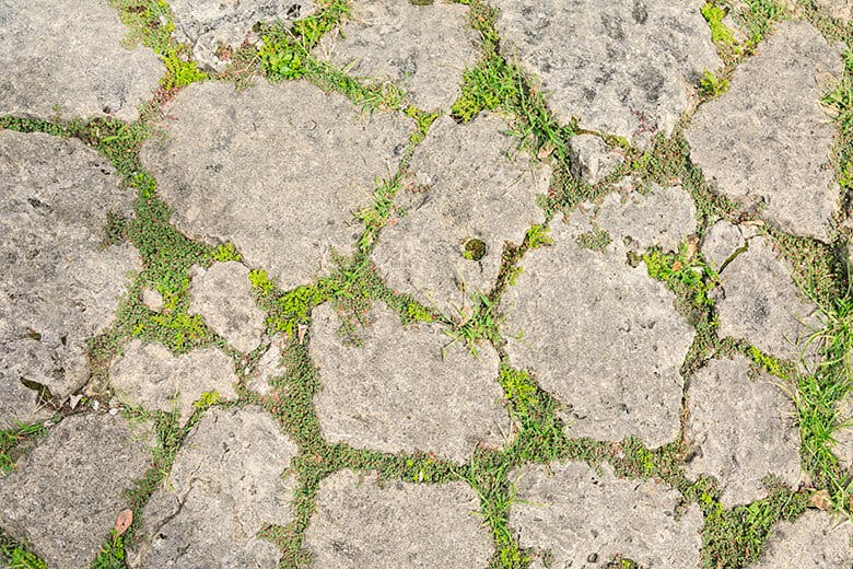 首里金城町石畳道|平たく削れた石畳のアップ
