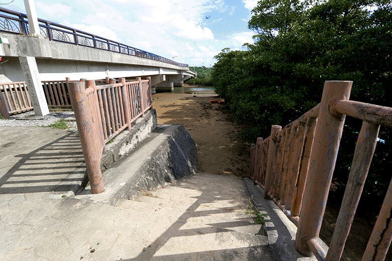 宮良川(みやらがわ)のヒルギ林|干潟への階段