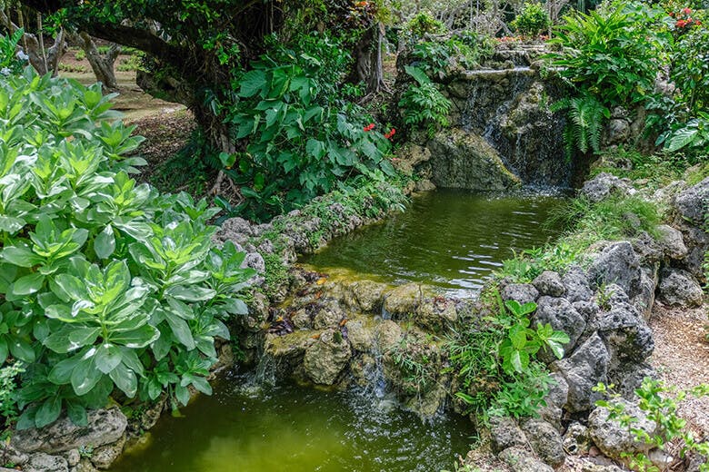 宮古島市熱帯植物園|