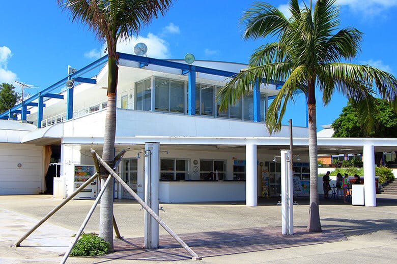 もとぶ元気村|ヤシの木が立ち並ぶ受付施設の外観