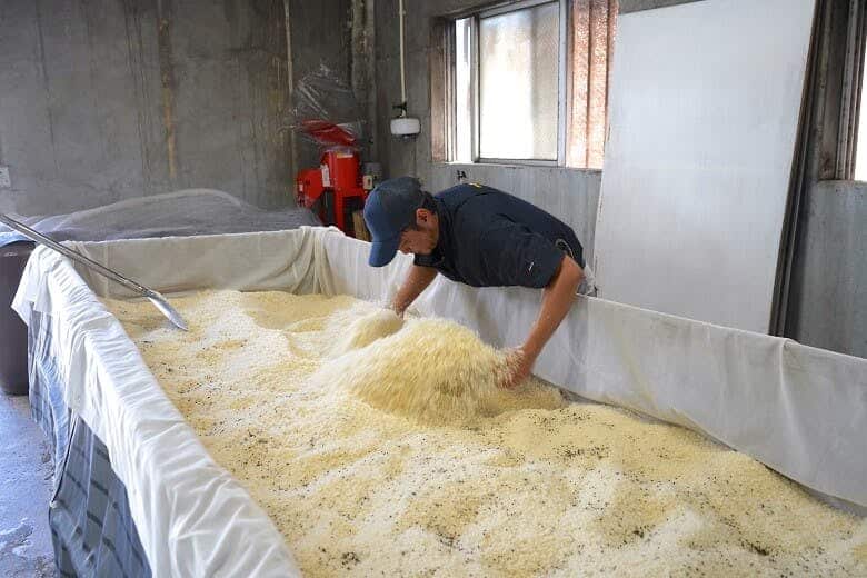 仲間酒造|米?づくりをする前花さん