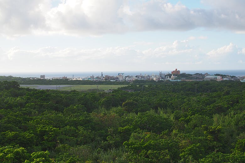 佐喜眞(さきま)美術館|屋上から望む、普天間基地の一角と海