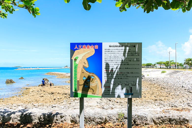 美々（びび）ビーチいとまん｜海の生物を観察できる人工磯の案内図