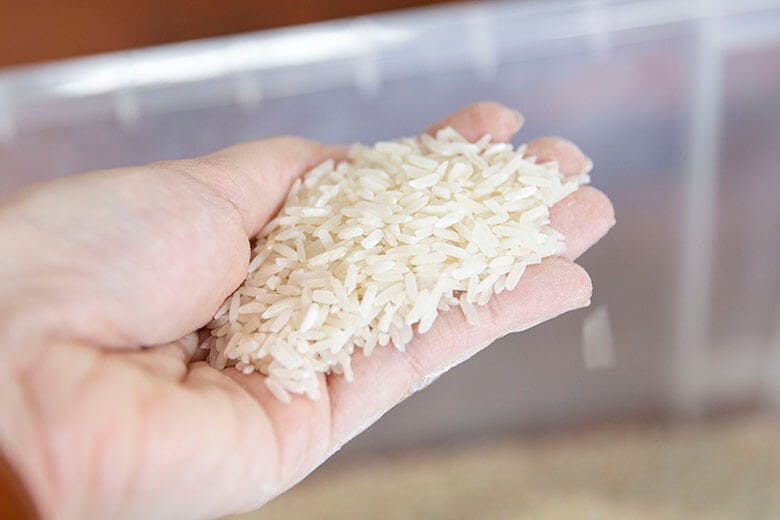 ヘリオス酒造|原料米