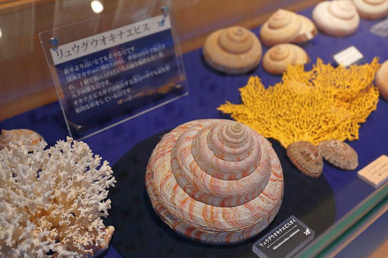 古宇利(こうり)オーシャンタワー|リュウグウオキナエビス