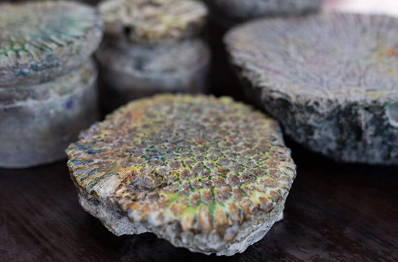 首里琉染|サンゴ染め体験で使われるサンゴの化石