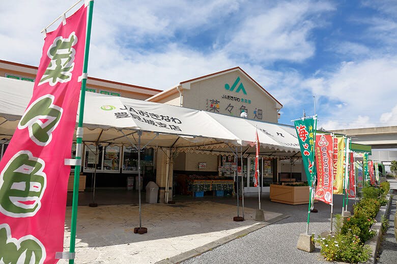 道の駅?豊崎|JAおきなわ食菜館とよさき菜々色畑